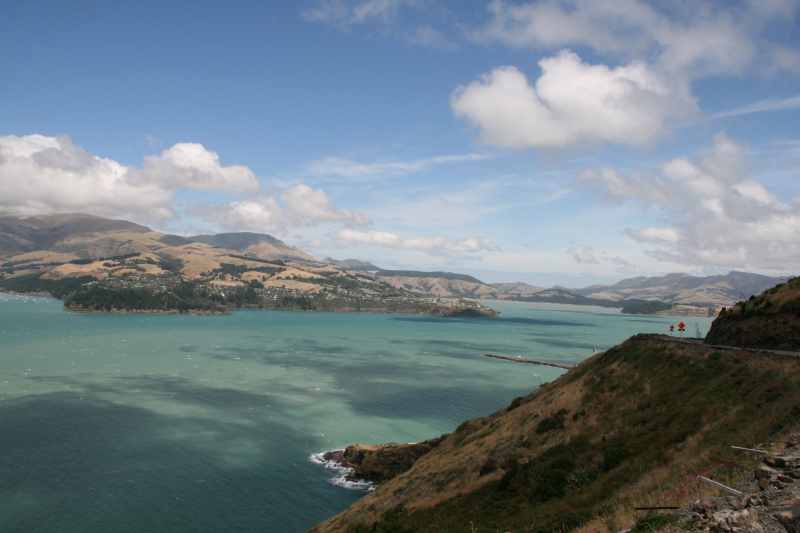 Nieuw-Zeeland 2011 - 2139